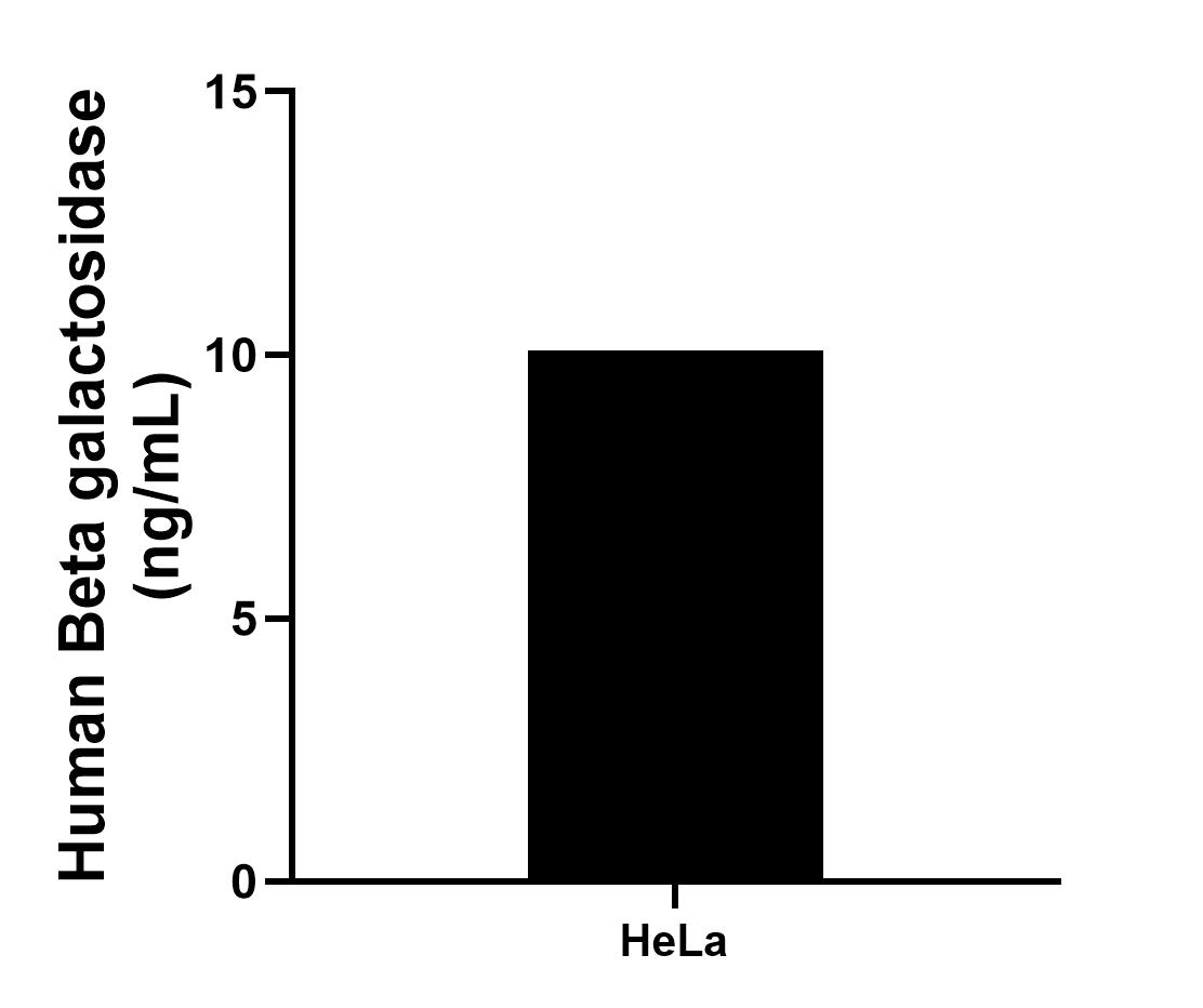 Sample test of MP00647-4